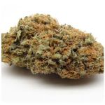 Шишки AK47 (Гидропоника, Бошка) VHQ в Нягани Шишки AK47 (Гидропоника, Бошка) VHQ в Нягани